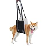 Bild von Ziyonix 20250624 Hundegeschirr