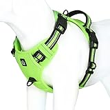 Bild von Waldseemüller Solid Color Harness-BE Hundegeschirr