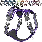 Bild von VIVAGLORY dog harness Hundegeschirr