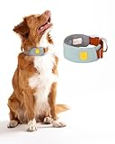 Bild von Woolly Wolf Hundehalsband