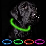 Bild von Nepfaivy Hundehalsband