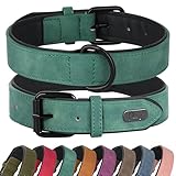 Bild von Didog WDC065GREEN-L Hundehalsband