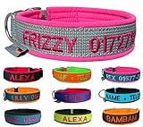 Bild von elropet HBGS Hundehalsband