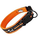 Bild von IDOGCHEW ORANGE-M Hundehalsband