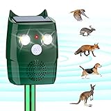 Bild von Bubbacare MTY Katzenschreck