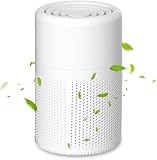Image of YiYunTE H13 air purifier