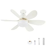 Image of KCVV luz del ventilador de techo ceiling fan