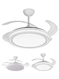 Image of Jardin202 1VENTARBL ceiling fan