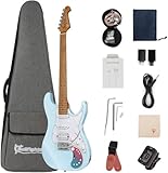 Image of Bullfighter D-160SE electric guitar