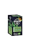 Image of LE GOÛT DU VOYAGE DESTINATION TP-3700110033062_395363_Vendor green tea