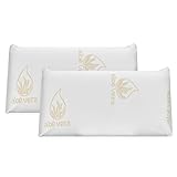 Image of DUÉRMETE ONLINE ALMOHADAALOEVISCO2UDS70 pillow