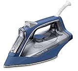 Picture of a steam iron