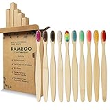 Image of GeekerChip Tool-TBrush-Bam-10Pack-gc toothbrush