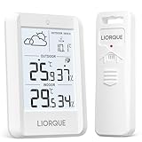 Image of LIORQUE BJ8201-1 weather station