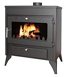 Image of EIDER BIOMASA ESL246002 wood burning stove