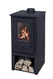 Image of EIDER BIOMASA ESL211025 wood burning stove