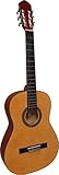 Image of MSA C22 acoustic guitar