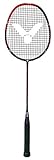 Picture of a badminton racket