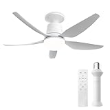 Image of ORTHLAND YYZ-FANL50W ceiling fan