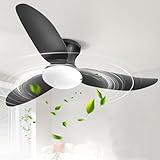 Image of Dibaful ceiling fan