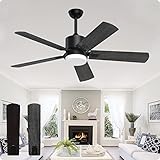 Image of Biukis CE-CF-SM-01 ceiling fan