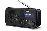 Image of SHARP DR-P420(BK) DAB radio