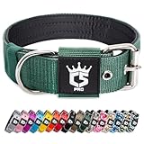 Image of TSPRO TS1001-GRN-Med dog collar