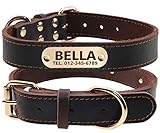 Another picture of a dog collar