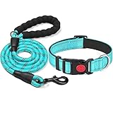 Image of haapaw dog collar