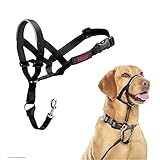 Image of Company of Animals 11330ZE1 dog harness