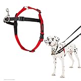 Image of Company of Animals 13220A dog harness