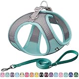 Image of Aiitle ATL009 Turquoise S dog harness