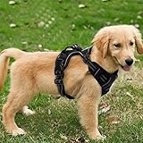 Image of Funkeen dog harness