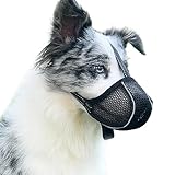 Image of Diketone d01 dog muzzle