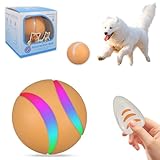 Image of Gytera Gytera-1 dog toy