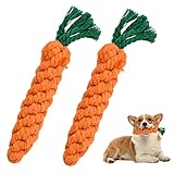 Image of Vesaneae  dog toy