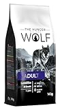 Image of The Hunger of the Wolf 501008 dry dog food