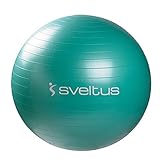 Image of sveltus 0435_Vert_65 cm exercise ball