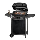 Image of TOPWISH EGG-001 gas grill