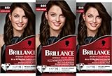 Image of Brillance BC880 hair dye