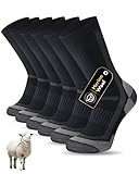 Image of SockWaddles 24180DE pair of hiking socks