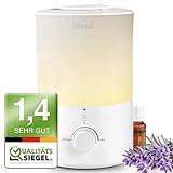 Image of Levoit Dual 150 humidifier