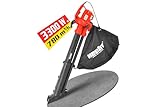 Image of Hecht Hecht 3003 leaf blower