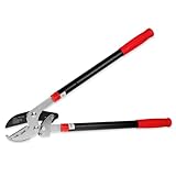 Image of WALTER WWS-GAS-T set of loppers