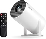 Image of LQWELL  projector