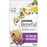 Image of Beneful 12498898 senior dog food