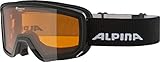 Image of ALPINA A7262.X.31 pair of ski goggles