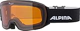 Image of ALPINA A7281.X.31 pair of ski goggles