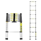 Another picture of a telescopic ladder