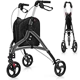 Image of COSTWAY VT32247DE walker for seniors